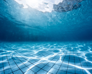 underwater shot