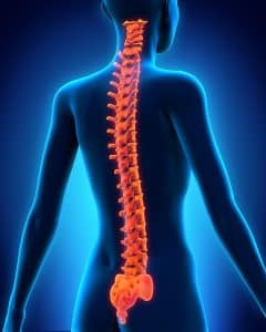 Indianapolis Personal Injury Law