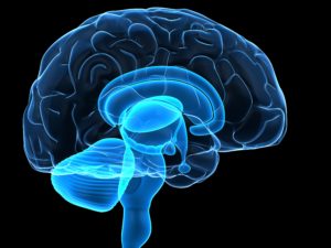 Indianapolis Brain Injury Attorney