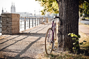 Indianapolis Bicycle Accident Attorney